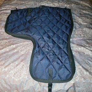 Western saddle bag/tote.